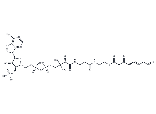 3,8-Dioxooct-5-enoyl-CoA