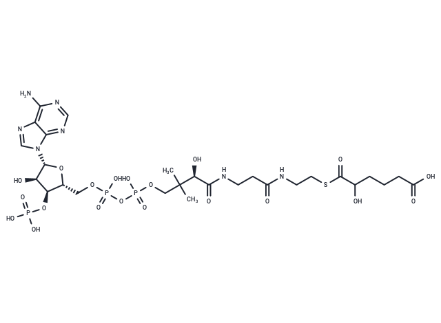 2-Hydroxyadipoyl-CoA