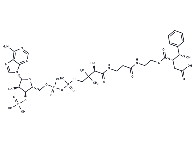 (R,S)-(Hydroxy(phenyl)methyl)succinyl-CoA