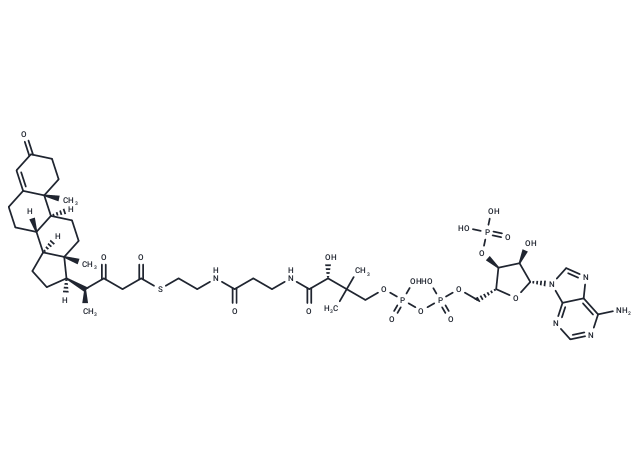 3,22-Diketochol-4-en-24-oyl-CoA