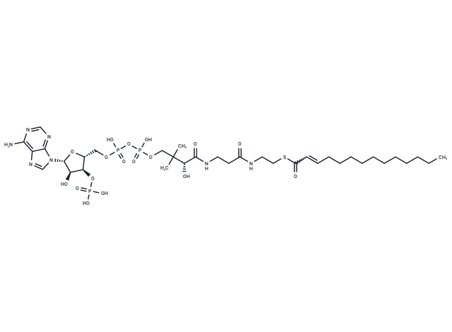 2-Tetradecenoyl-CoA