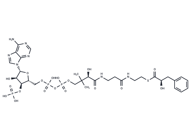 (R)-Phenyllactoyl-CoA