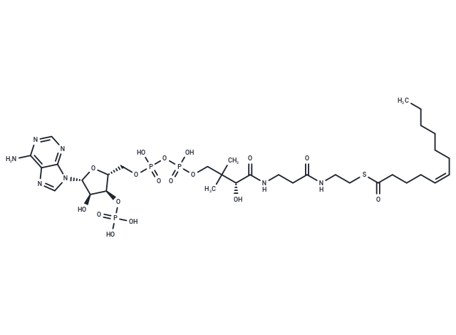 (5Z)-Dodecenoyl-CoA