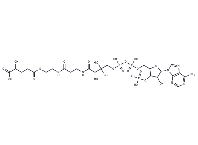 (R)-2-Hydroxyglutaryl-5-CoA