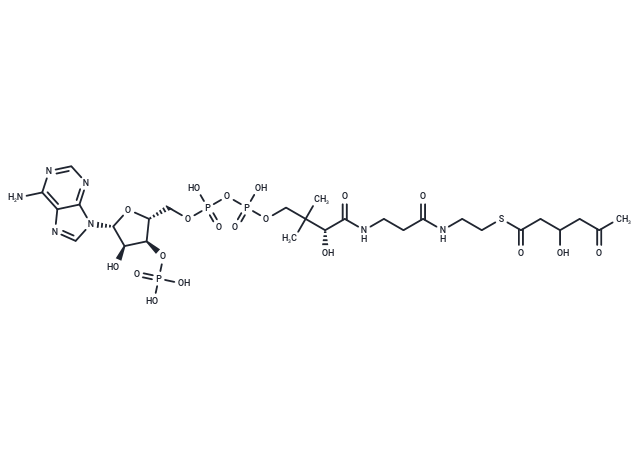 3-Hydroxy-5-oxohexanoyl-CoA