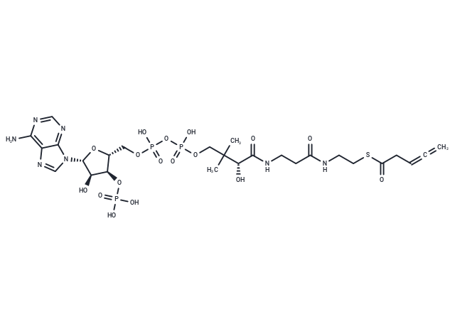 3,4-Pentadienoyl-CoA