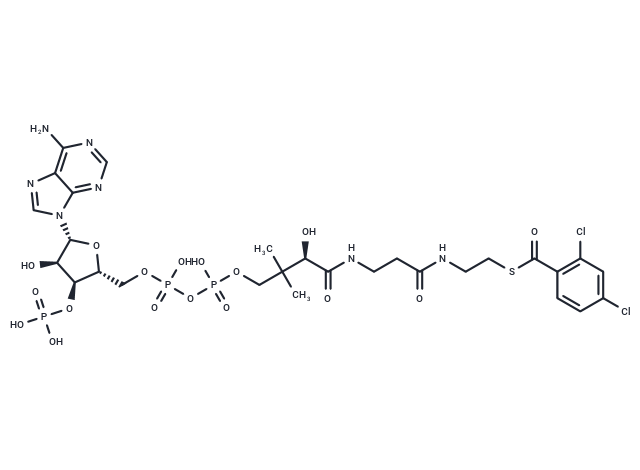 2,4-Dichlorobenzoyl-CoA