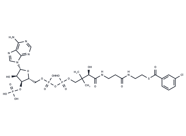 3-Chlorobenzoyl-CoA