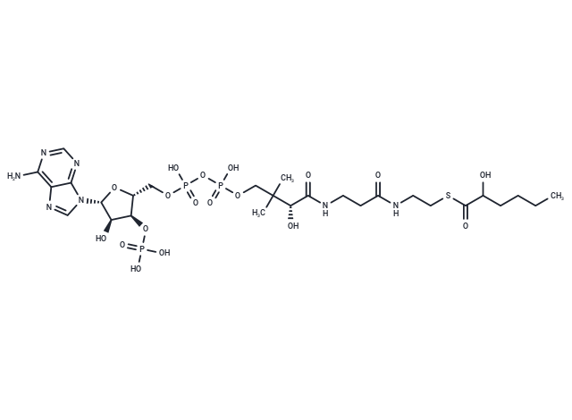 2-Hydroxyhexanoyl-CoA