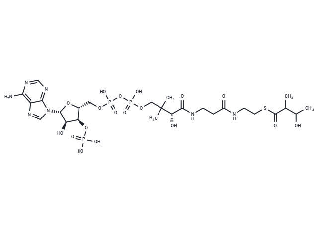 3-Hydroxy-2-methylbutyryl-CoA