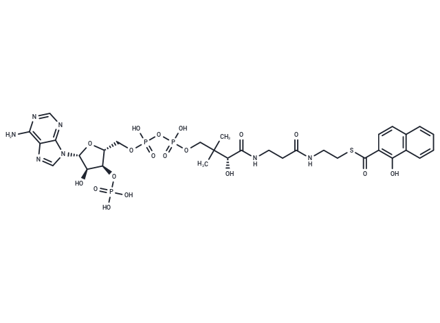 1-Hydroxy-2-Naphthoyl-CoA
