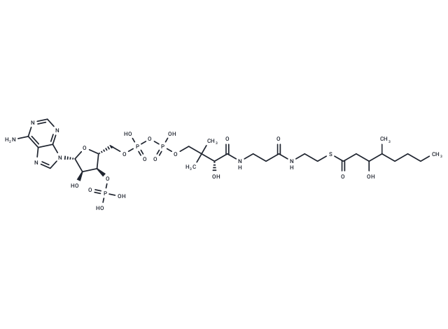 3-Hydroxy-4-methyloctanoyl-CoA