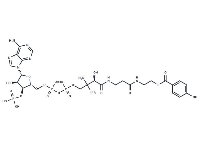 (4-Hydroxybenzoyl)-CoA