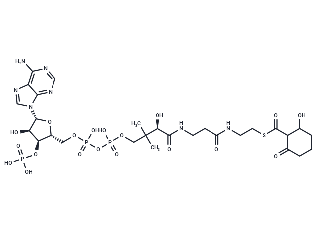 2-Hydroxy-6-oxocyclohexane-1-carbonyl-CoA