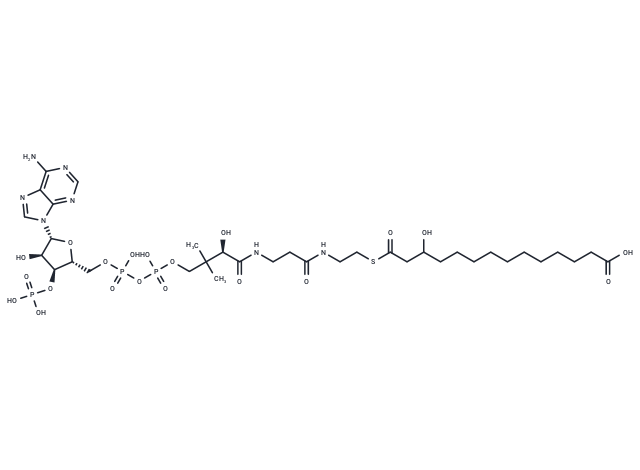 3-Hydroxytetradecanedioyl-CoA