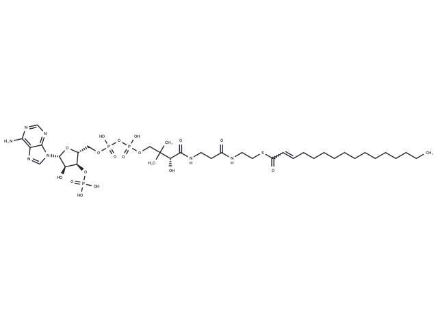 2-Hexadecenoyl-CoA