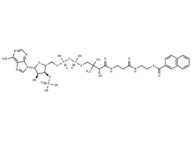 2-Naphthoyl-CoA