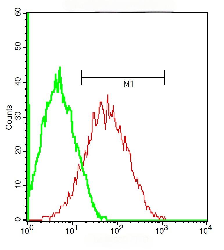 Anti-ADRB1 Polyclonal Antibody