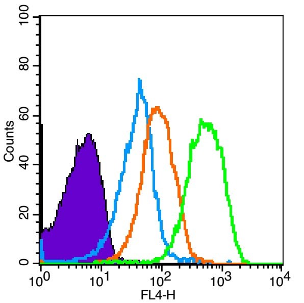 Anti-AMPK alpha 1 Polyclonal Antibody