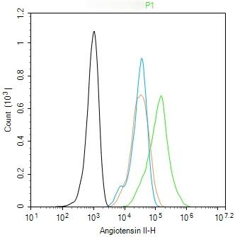 Anti-Angiotensin II Polyclonal Antibody