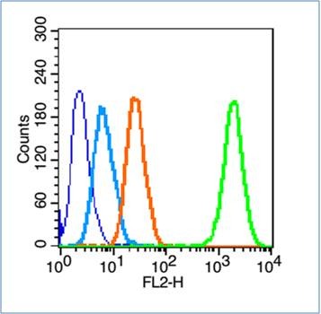Anti-Alkaline Phosphatase/ALPL Polyclonal Antibody 2