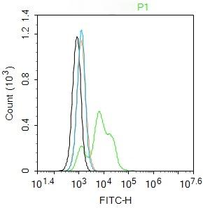 Anti-A3AR Polyclonal Antibody