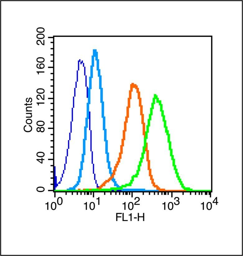 Anti-A3AR Polyclonal Antibody