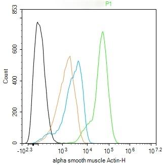 Anti-ACTA2 Antibody (7C949)
