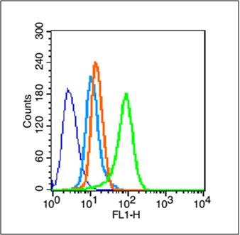 Anti-ABCB1 Polyclonal Antibody 2
