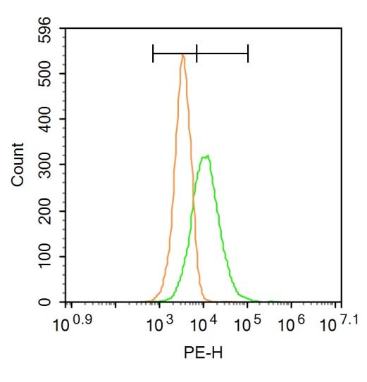 Anti-Aquaporin-7/AQP7 Polyclonal Antibody