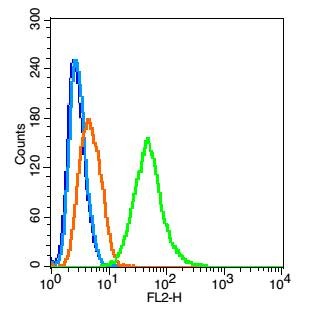 Anti-BAK1 Polyclonal Antibody