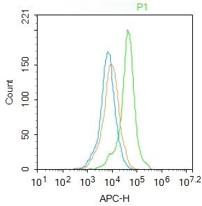 Anti-ASCL1 Polyclonal Antibody