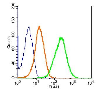 Anti-Aquaporin-9/AQP9 Polyclonal Antibody