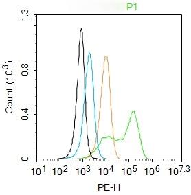 Anti-ADRB1 Polyclonal Antibody
