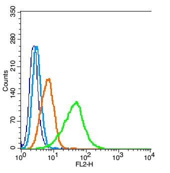 Anti-3-Nitro-L-tyrosine Polyclonal Antibody