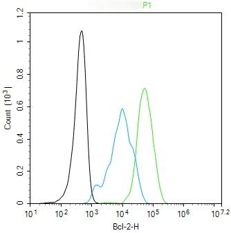 Anti-BCL2 Polyclonal Antibody 4