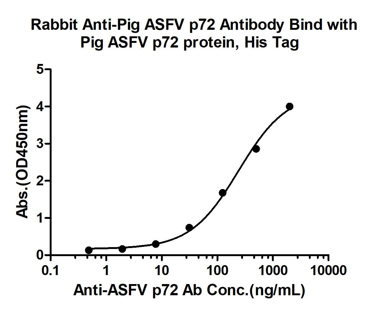 Anti-ASFV p72 Polyclonal Antibody