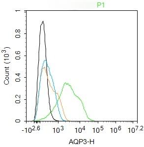 Anti-Aquaporin-3/AQP3 Polyclonal Antibody