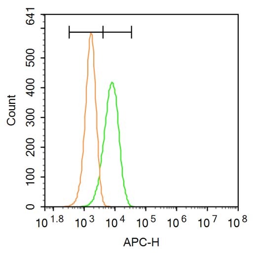 Anti-Aquaporin-3/AQP3 Polyclonal Antibody