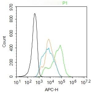 Anti-BTN2A1 Polyclonal Antibody