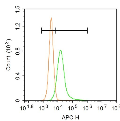 Anti-CXCL16 Polyclonal Antibody