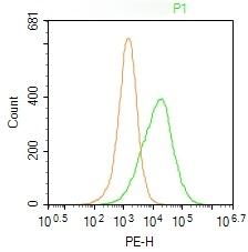 Anti-EDG3 Polyclonal Antibody
