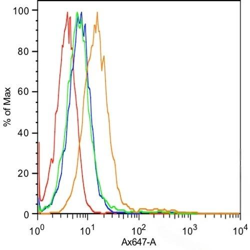 Anti-E-Cadherin/Cadherin-1 Polyclonal Antibody 3