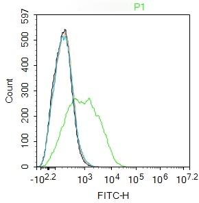 Anti-EpCAM Polyclonal Antibody 2