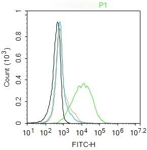Anti-EGF Polyclonal Antibody