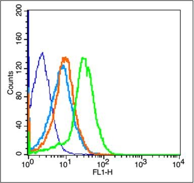 Anti-Fas/CD95 Polyclonal Antibody 2