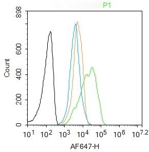 Anti-C5a Polyclonal Antibody