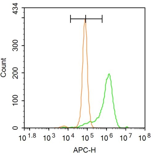 Anti-BMAL1 Polyclonal Antibody