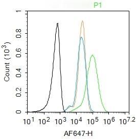 Anti-CXCL10 Polyclonal Antibody