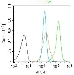 Anti-FGF-2 Polyclonal Antibody